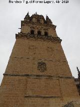 Catedral Vieja. Torre de las Campanas. Desde la Torre Mocha