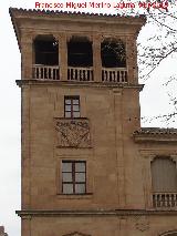 Palacio de Orellana. Torre mirador
