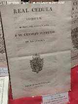 Carlos IV. Cedula para dar nueva planta al Consejo Supremo de la Guerra. 1803. Exposición Palacio Villardompardo - Jaén