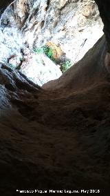 Cueva Baja de la Paraisa. 