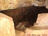 Cueva de El Mansegoso. 