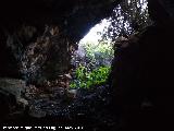 Cueva de El Mansegoso
