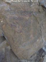 Pinturas rupestres de la Cueva de los Herreros Grupo VIII. Figura reticulada