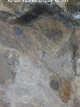 Pinturas rupestres de la Cueva de los Herreros Grupo VIII. Puntos negros