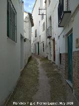 Calle Jan. 