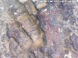 Pinturas rupestres de la Cueva de los Herreros Grupo VII. Antropomorfo de la derecha