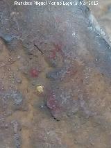 Pinturas rupestres de la Cueva de los Herreros Grupo VII. Cuatro puntos