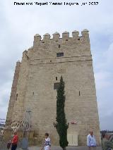 Torre de la Calahorra. Lateral