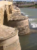 Puente Romano. Tajamares