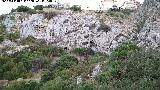 Barranco de la Cueva de las Flores. Donde se encuentra la Cueva de las Araas de Caribass
