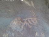 Petroglifos y pinturas rupestres del Abrigo de la Tinaja II. Cabra