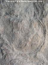 Petroglifos rupestres del Abrigo de la Tinaja III. Posible petroglifo