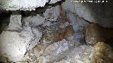 Cueva neoltica de los Corzos. 