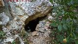 Cueva neoltica de los Corzos. Entrada