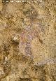 Pinturas rupestres de la Cueva del Engarbo I. Grupo II. Panel V