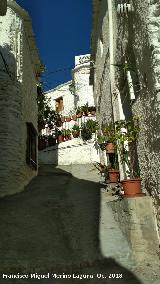 Calle Fuente Ciprs. 