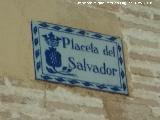 Placeta del Salvador. Placa