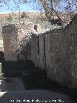 Monasterio de Piedra. Muralla Perimetral. 