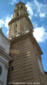 Catedral del Salvador. Campanario. 