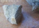Ammonites Hyphantoceras - Hyphantoceras reussianum. Segura de la Sierra