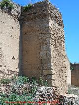 Muralla de Niebla. Torre Sur XV. 