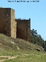 Muralla de Niebla. Torre Sur XIII. 