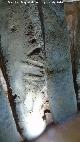 Dolmen de Soto. Petroglifo XVIII