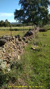 Camino del Peasquillo. Muro de piedra seca