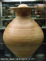 Castellones de Ceal. Urna cineraria siglo IV a.C. Museo Provincial