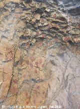 Pinturas rupestres de la Cueva de los Soles Abside VIII. Puntos