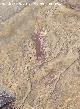Pinturas rupestres de la Cueva de los Soles de la Pared Exterior