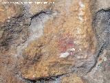 Pinturas rupestres de la Cueva de los Soles de la Pared Exterior. Punto