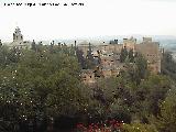 Bosque de la Alhambra. 