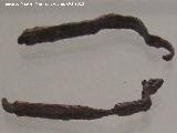 Necrpolis de la Loma del Peinado. Posibles espuelas. Museo San Antonio de Padua - Martos