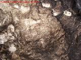 Pinturas rupestres de la Cueva Secreta Grupo IV. Barra grande