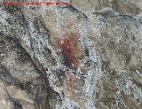 Pinturas rupestres de la Cueva Secreta Grupo V. Mancha