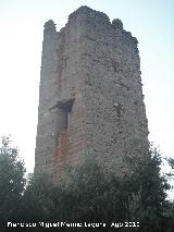 Torre Sur de Santa Catalina. 