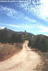 Torre Norte de Santa Catalina. 