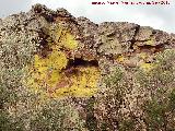 Liquen amarillo - Pleopsidium oxytonum. Castilln del Moro - Segura de la Sierra