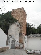 Torren de Triana. 
