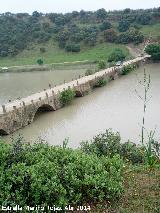 Puente romano de la Lagunilla. 