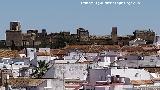 Desde la Torre del Oro Alcázar del Rey Don Pedro. Desde la Torre del Oro