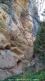 La Nava. Paredes rocosas del entorno de la Cueva del Jabonero