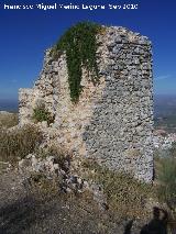 Castillo de la Pea. Torren Rectangular. 