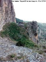 Castillo del Caballo. Aljibe Cuna del Rey