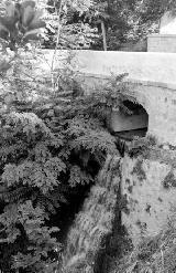 Cascada de Cnava. 1950