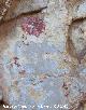 Pinturas rupestres de la Brincola I