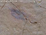 Pinturas rupestres de la Cueva del Plato grupo I. Primer resto de pintura a la izquierda y separado del grupo principal