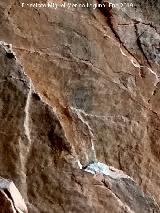 Pinturas rupestres de la Cueva del Plato grupo II. 