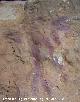 Pinturas rupestres de la Cueva del Plato grupo II